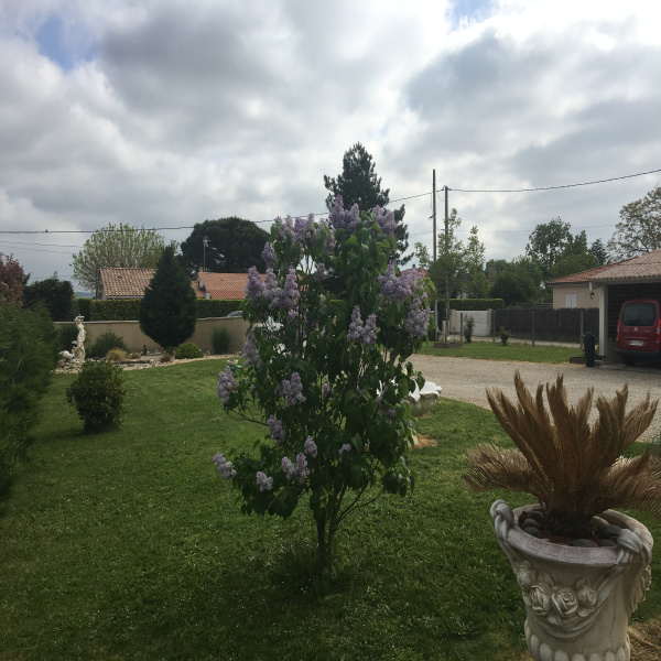 Offres de vente Maison Marmande 47200
