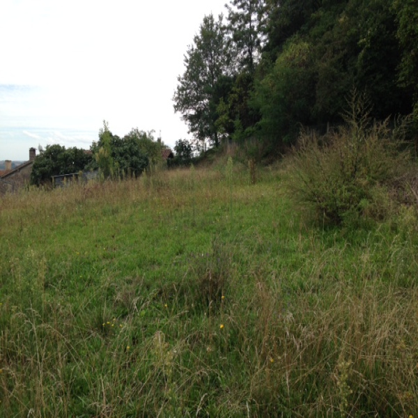 Offres de vente Terrain Tombeboeuf 47380